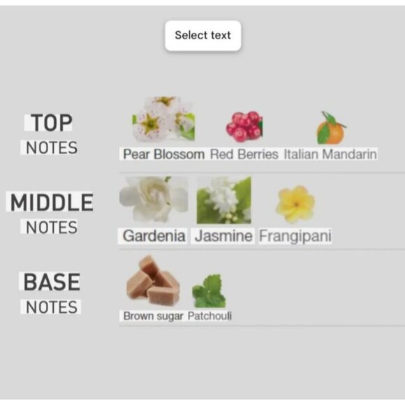 Celestia by Rayef EDP Unisex 100ml 3.4 oz Made in Dubai Authentic - Picture 6 of 6